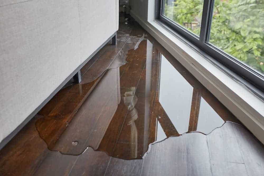 Water pooling on a dark wooden floor next to a large window and a gray couch, with reflections of the outdoors visible in the water.